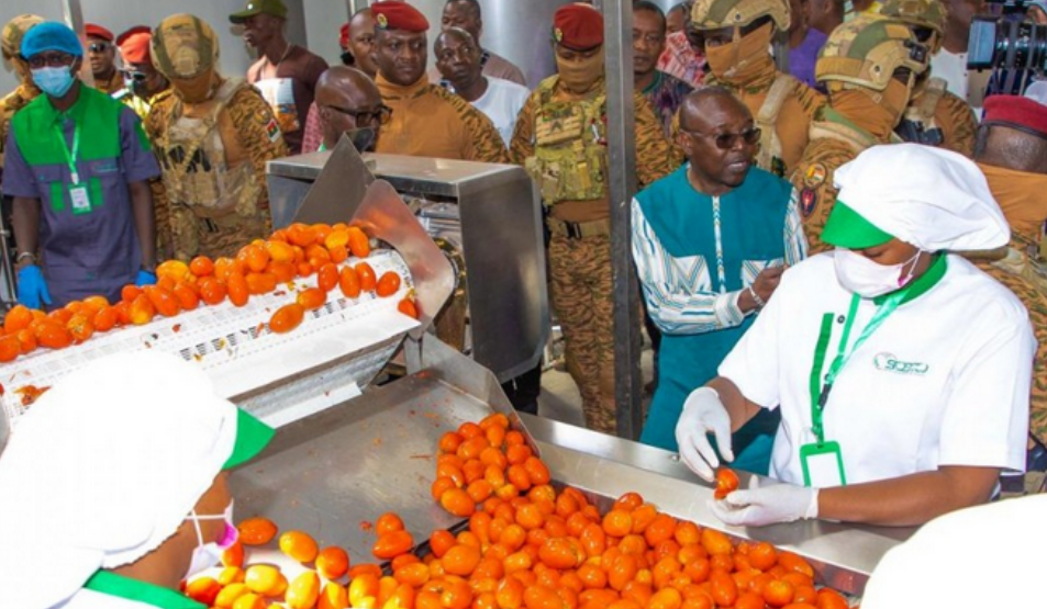 Burkina Faso : Le capitaine Ibrahim Traoré inaugure une usine de tomates.