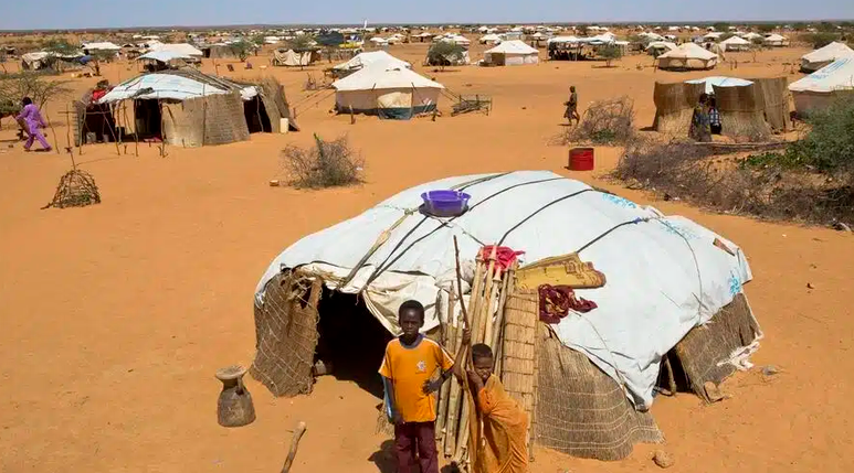 Sahel central : Mali, Burkina Faso et Niger, trois pays au bord du gouffre