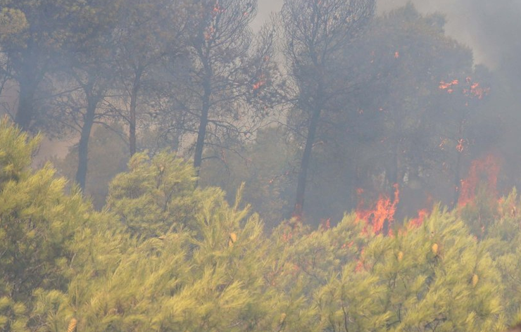 Algérie: le Président Tebboune et les autorités en pleine surenchère sur la peine de mort pour cacher leur impuissance à gérer les incendies